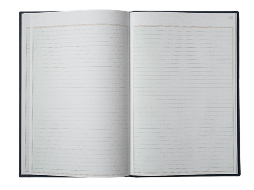 Libro Rayado 5g2 Forma Francesa Marca Lfc De 96 Hjs